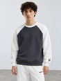 Colorblock Raglan Crewneck – Grey / White