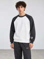Colorblock Raglan Crewneck – White / Charcoal